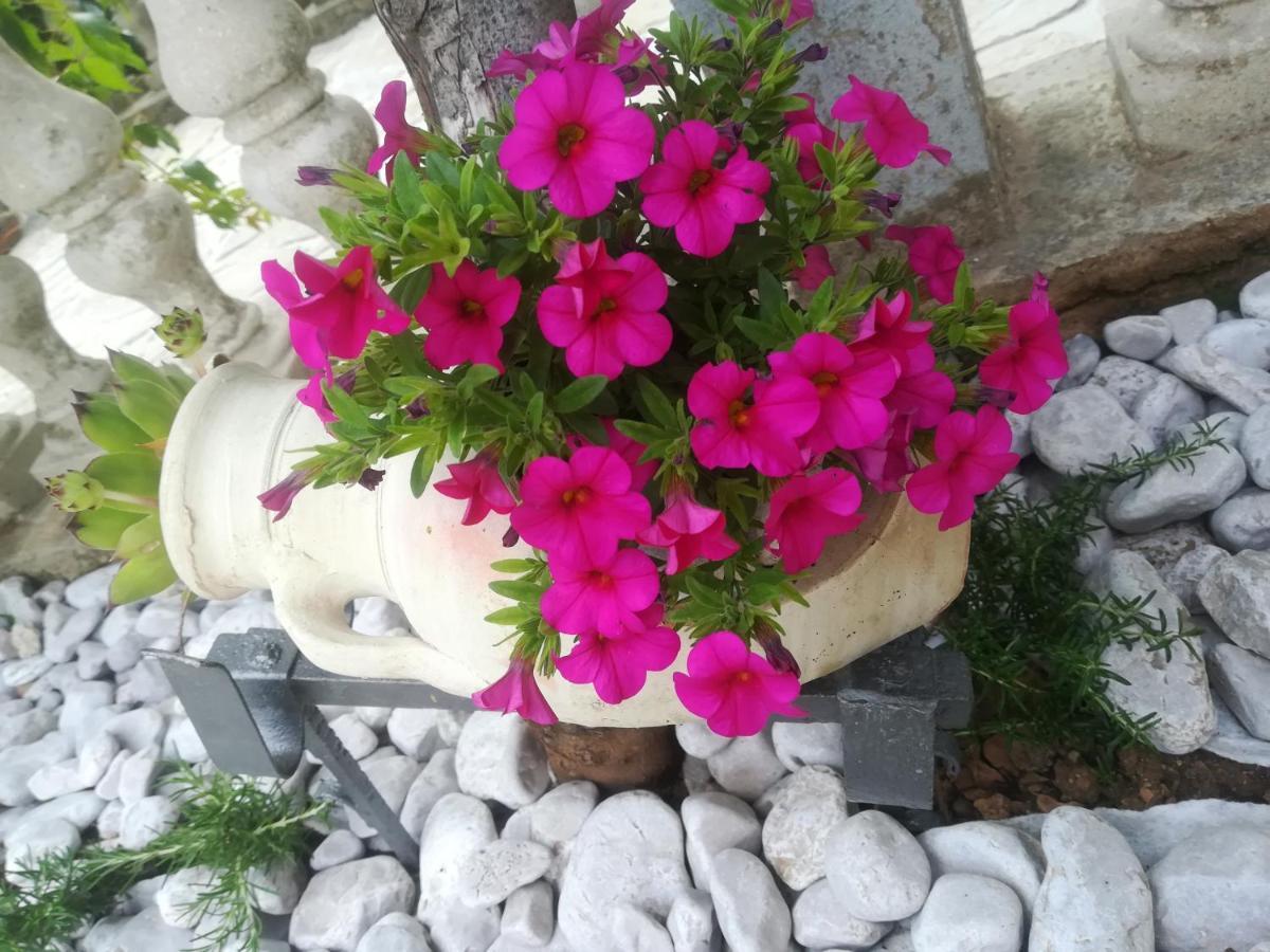 Apartman Pelcic,With Wifi And Free Parking Kostrena Exterior foto
