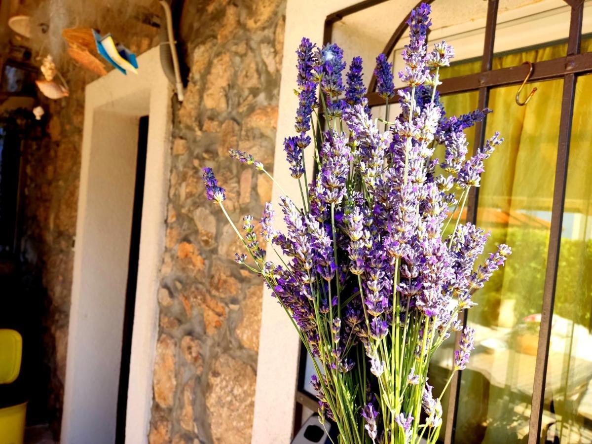 Apartman Pelcic,With Wifi And Free Parking Kostrena Exterior foto