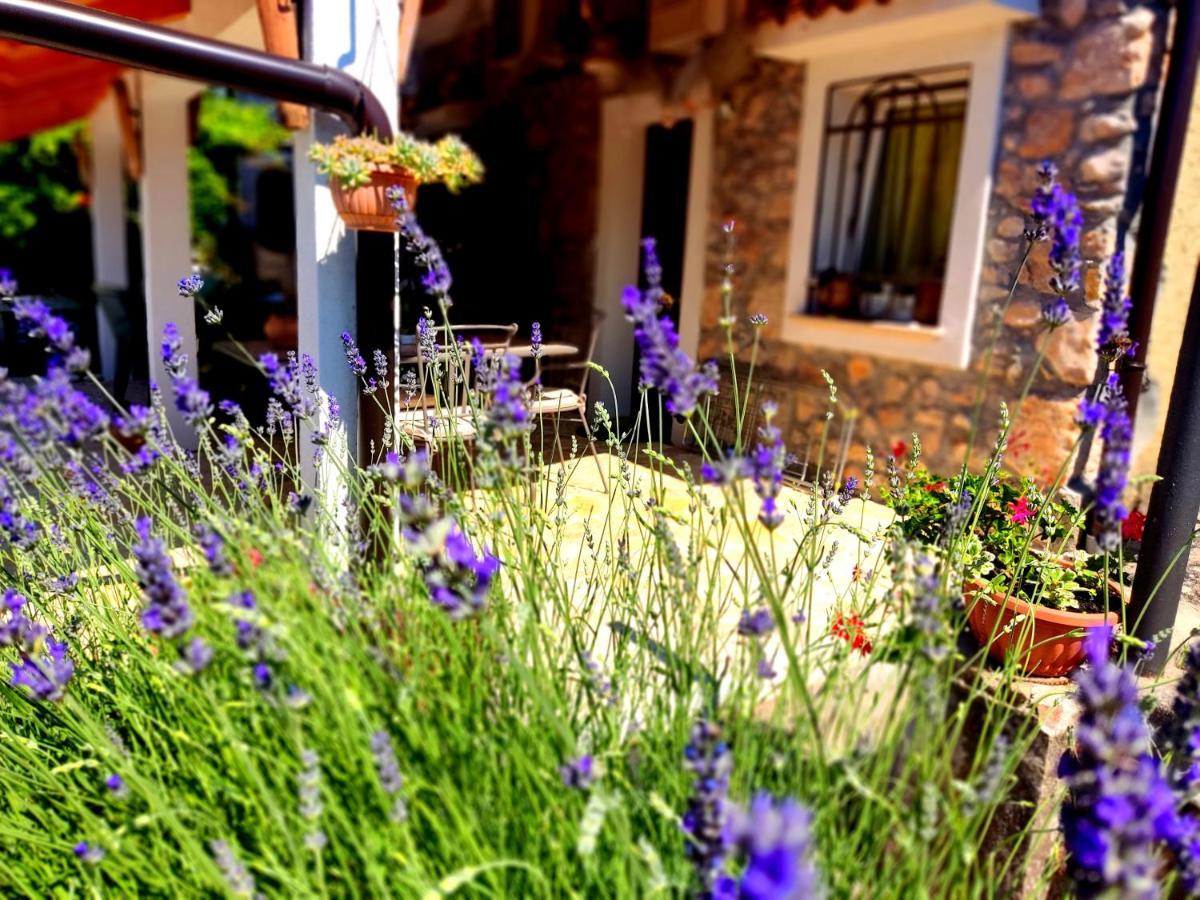 Apartman Pelcic,With Wifi And Free Parking Kostrena Exterior foto