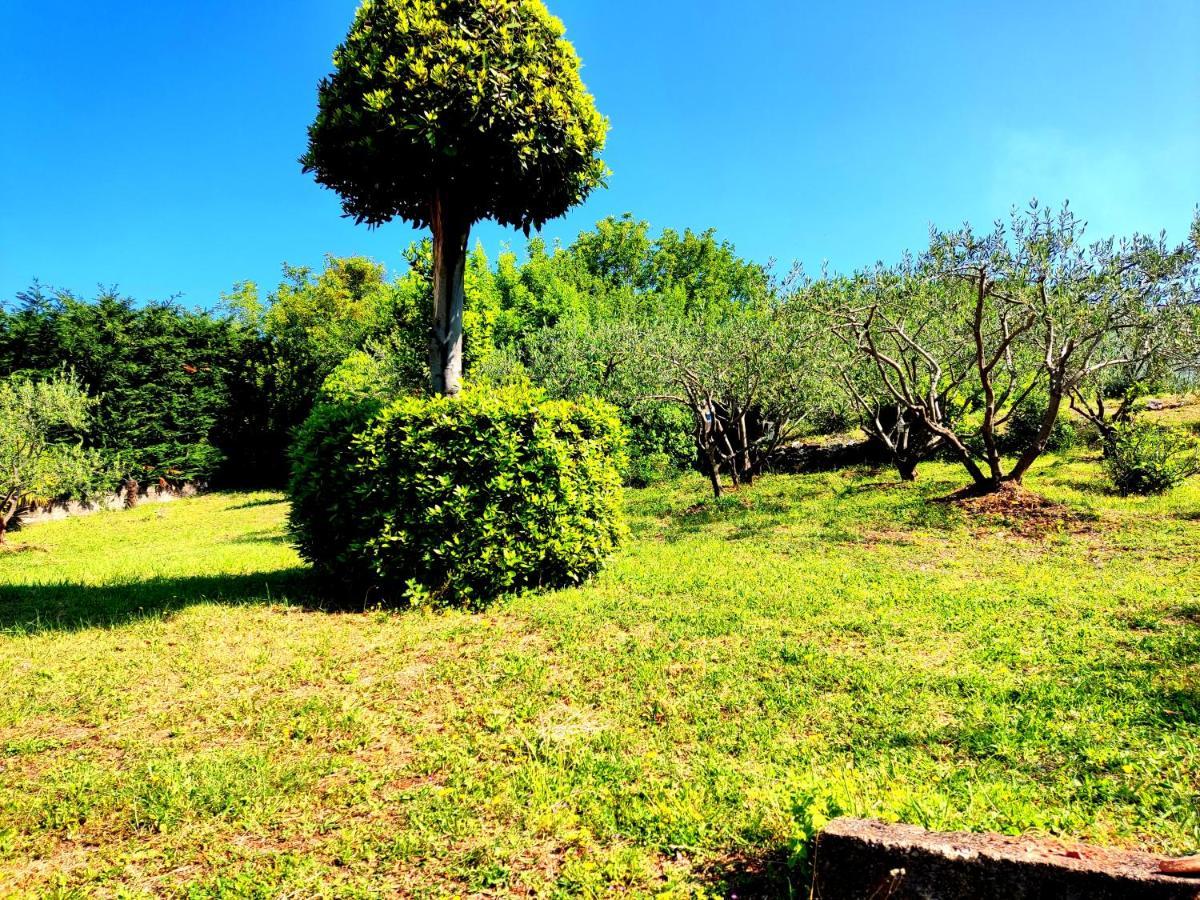 Apartman Pelcic,With Wifi And Free Parking Kostrena Exterior foto