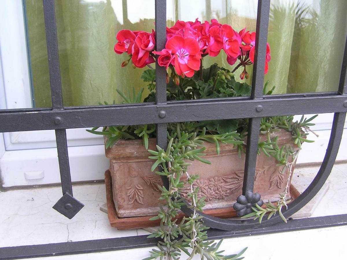 Apartman Pelcic,With Wifi And Free Parking Kostrena Exterior foto